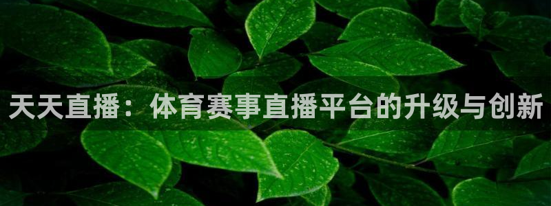 天天直播：体育赛事直播平台的升级与创新