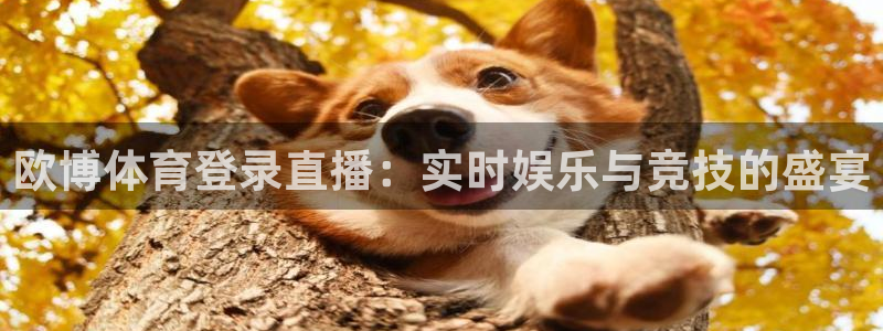 欧博体育登录直播：实时娱乐与竞技的盛宴