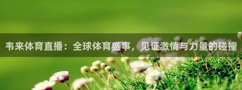 韦来体育直播：全球体育盛事，见证激情与力量的碰撞